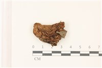登錄號:F0037508藏品圖，第1張