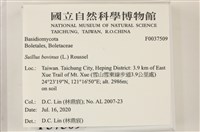 登錄號:F0037509藏品圖，第2張