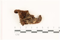 登錄號:F0037510藏品圖，第3張