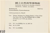 登錄號:F0037512藏品圖，第2張