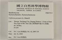 登錄號:F0037513藏品圖，第2張