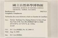 登錄號:F0037515藏品圖，第2張