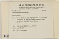 登錄號:F0037517藏品圖，第2張