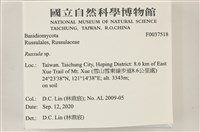 紅菇屬藏品圖，第2張