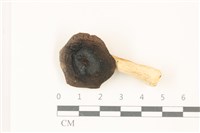 登錄號:F0037521藏品圖，第1張