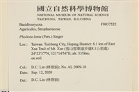 登錄號:F0037522藏品圖，第2張