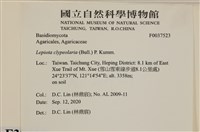 登錄號:F0037523藏品圖，第2張