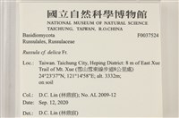 登錄號:F0037524藏品圖，第2張