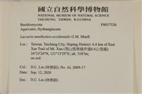 登錄號:F0037526藏品圖，第2張