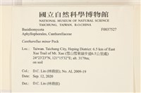 登錄號:F0037527藏品圖，第2張