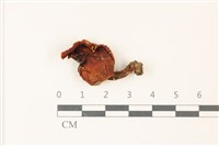 登錄號:F0037527藏品圖，第1張