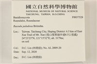 登錄號:F0037528藏品圖，第2張