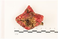 登錄號:F0037528藏品圖，第1張