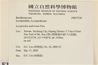 登錄號:F0037530藏品圖，第2張