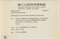 登錄號:F0037531藏品圖，第2張
