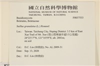 登錄號:F0037533藏品圖，第2張