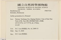 登錄號:F0037534藏品圖，第2張