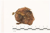 登錄號:F0037534藏品圖，第1張