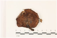 登錄號:F0037534藏品圖，第3張