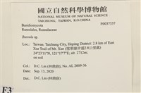 紅菇屬藏品圖，第2張