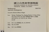 登錄號:F0037539藏品圖，第2張