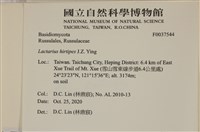 登錄號:F0037544藏品圖，第2張