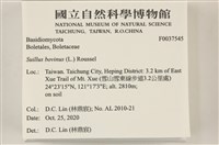 登錄號:F0037545藏品圖，第2張