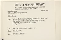 登錄號:F0037546藏品圖，第2張