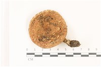 登錄號:F0037546藏品圖，第1張