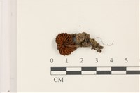 登錄號:F0037547藏品圖，第3張