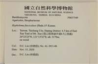登錄號:F0037549藏品圖，第2張