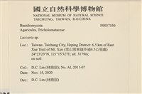 登錄號:F0037550藏品圖，第2張