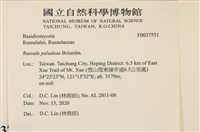 登錄號:F0037551藏品圖，第2張