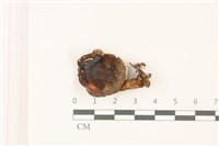 登錄號:F0037551藏品圖，第1張