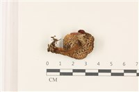 登錄號:F0037551藏品圖，第3張