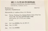 登錄號:F0037553藏品圖，第2張