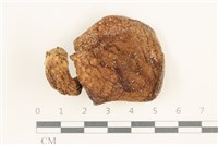 登錄號:F0037555藏品圖，第1張