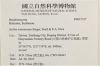 登錄號:F0037557藏品圖，第2張