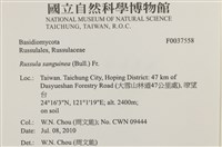 館號:F0037558藏品圖，第2張
