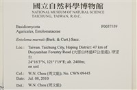 登錄號:F0037559藏品圖，第2張