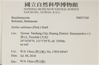 登錄號:F0037560藏品圖，第2張