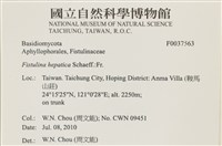 登錄號:F0037563藏品圖，第2張