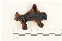 登錄號:F0037563藏品圖，第1張