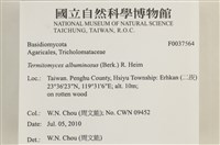 登錄號:F0037564藏品圖，第2張