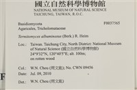 登錄號:F0037565藏品圖，第2張
