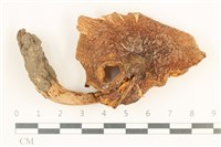 登錄號:F0037565藏品圖，第1張