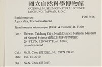登錄號:F0037566藏品圖，第2張