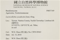 登錄號:F0037569藏品圖，第2張