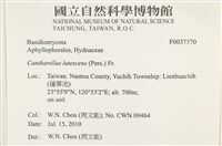 登錄號:F0037570藏品圖，第2張