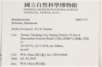 登錄號:F0037571藏品圖，第2張